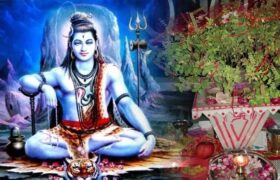 भगवान शिव को तुलसी क्यों नहीं चढ़ाते?